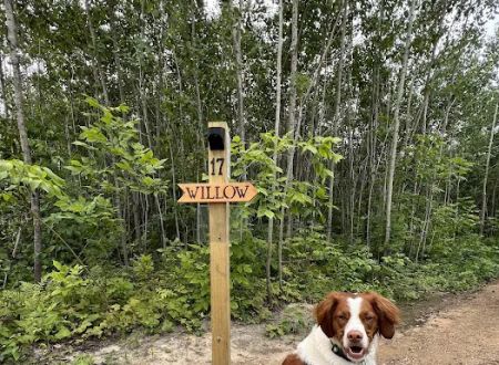 Cuyuna Range Campground