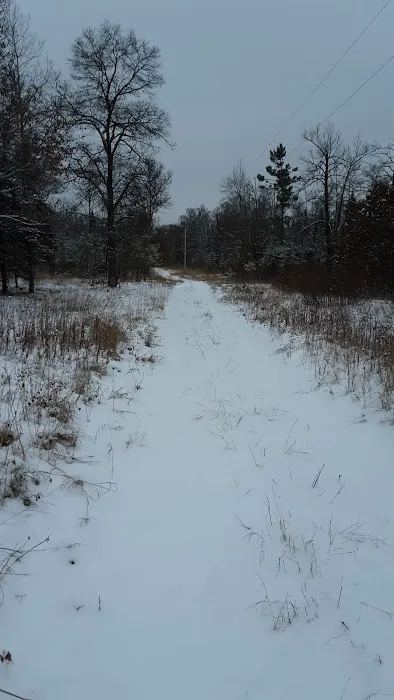 Fools Lake Campground Picture 6