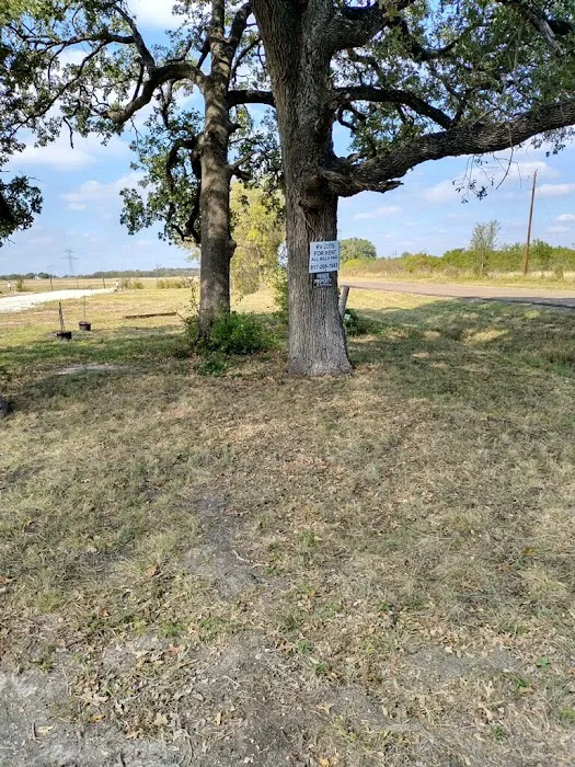 Ben Hur RV Park Picture 8