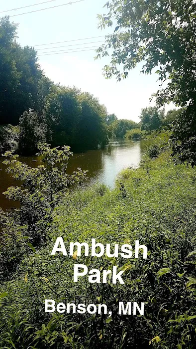 Ambush Park Campground Picture 6