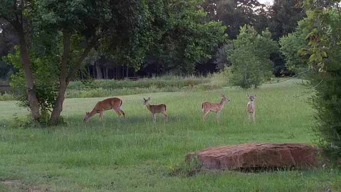 Kozy Lakes RV Park Picture 3