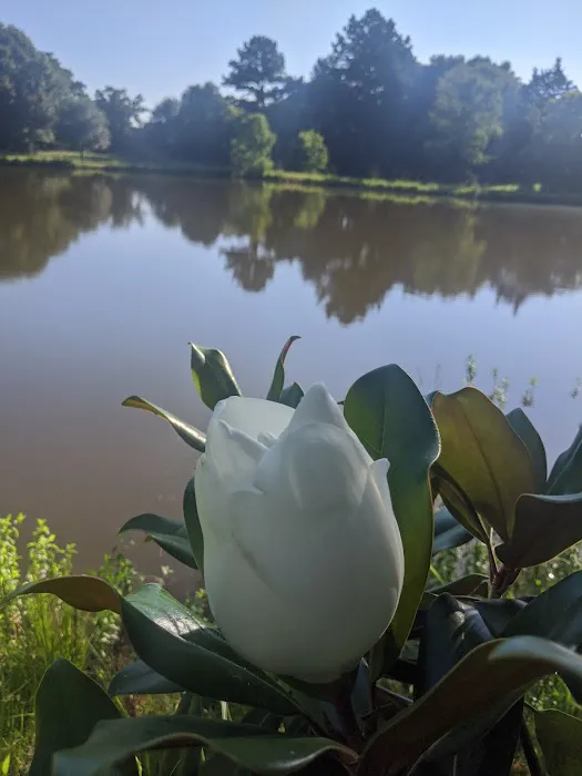 Kozy Lakes RV Park Picture 4