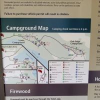 Horse Camp ico