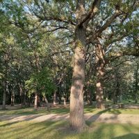 OAKRIDGE CAMPGROUND ico