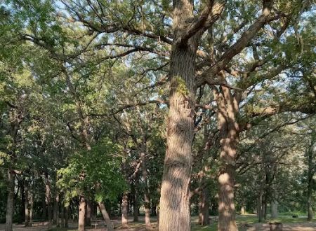 OAKRIDGE CAMPGROUND