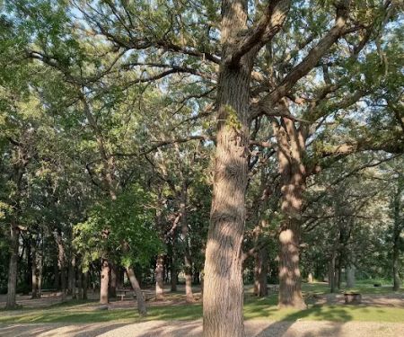 OAKRIDGE CAMPGROUND