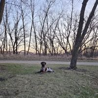 LOWER CAMPGROUND ico
