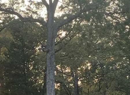 3 Cedar Crossing Campground & RV Park