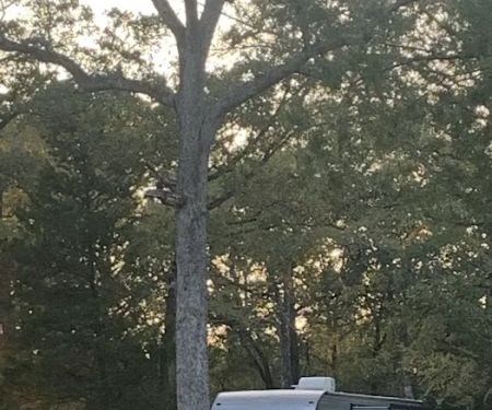 3 Cedar Crossing Campground & RV Park