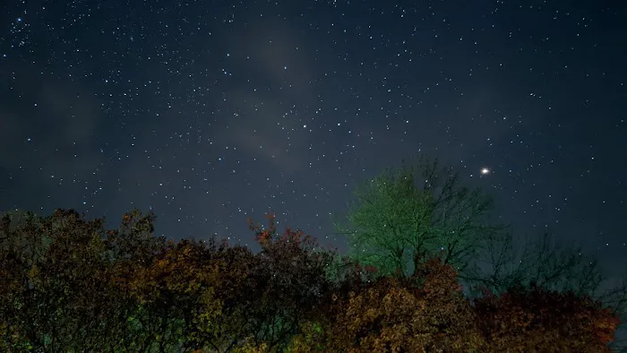 Shady Oaks Campground Picture 5