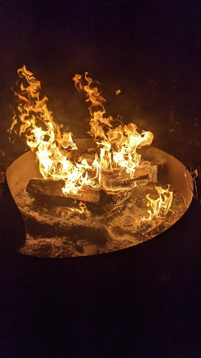 Shady Oaks Campground Picture 4