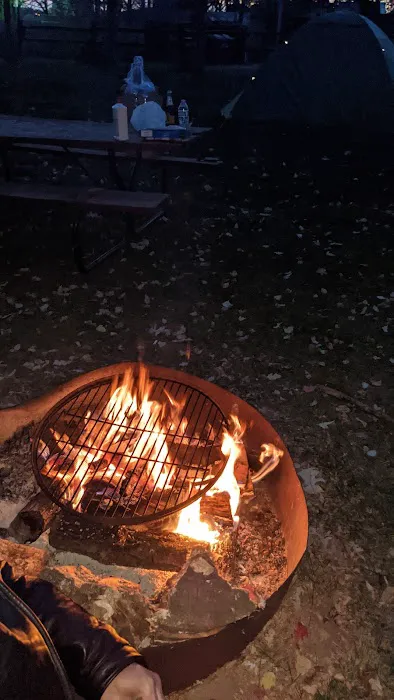 Shady Oaks Campground Picture 7