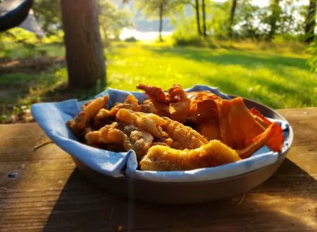 Greer lake Campground