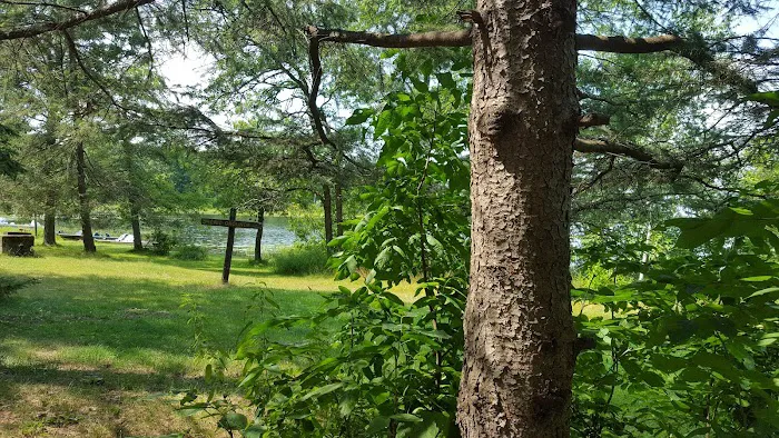 Greer lake Campground Picture 6