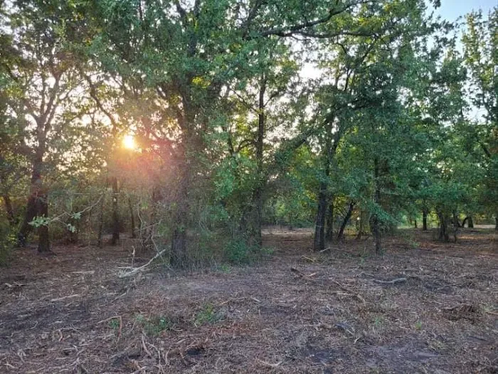 Dennis Acres Tiny Home Community Picture 9