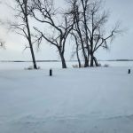 Ulven Park Campground