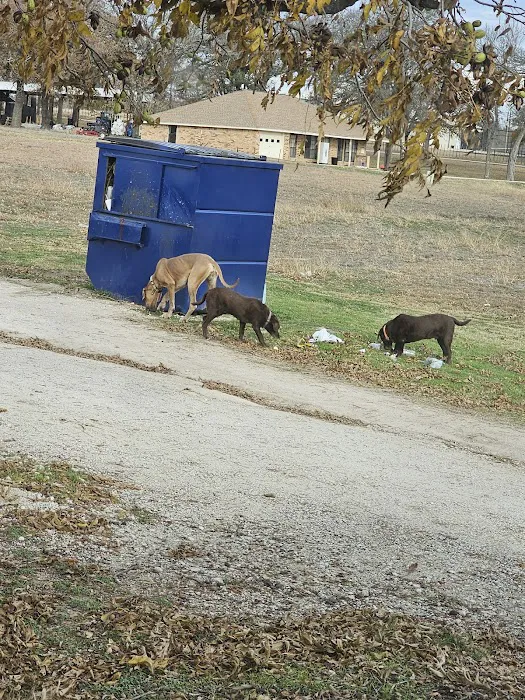 Camp Eagle RV Park Picture 5