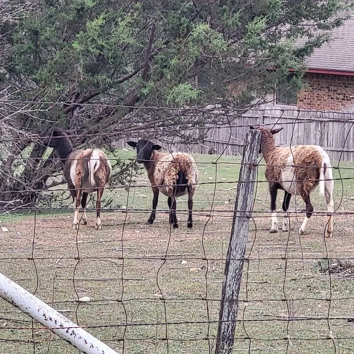 Hooves N Wheels RV Park Picture 6