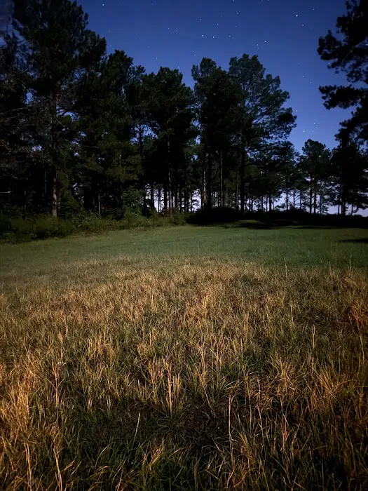 Pondview Acres Campground Picture 7