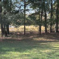 Pondview Acres Campground ico