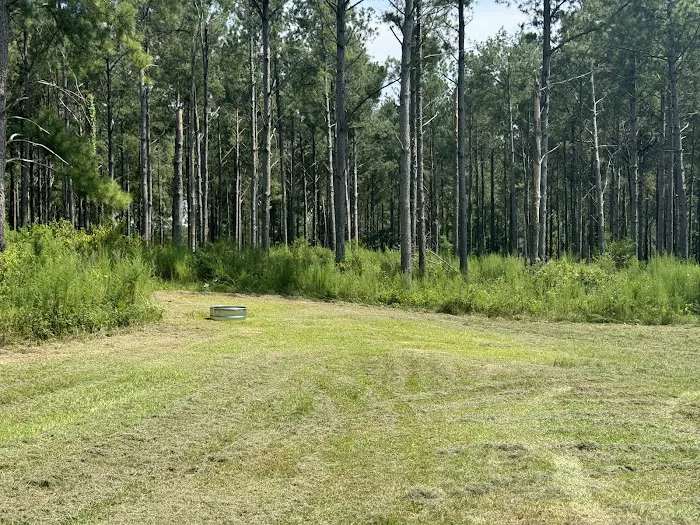 Pondview Acres Campground Picture 4