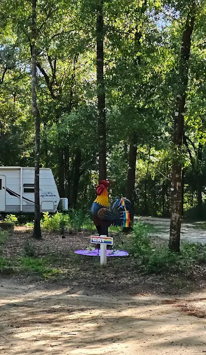 CampOut Alabama Picture 2