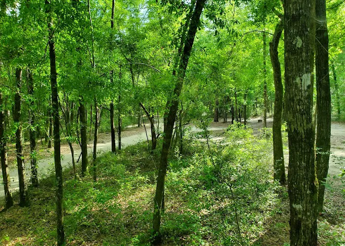 CampOut Alabama Picture 10