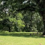 Hilltop Cabins and RV Campsites