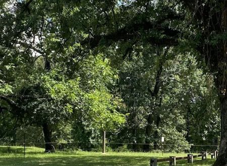 Hilltop Cabins and RV Campsites