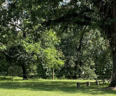 Hilltop Cabins and RV Campsites