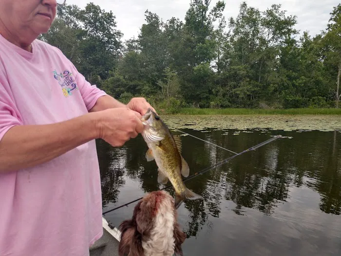 Lake Victor Picture 10