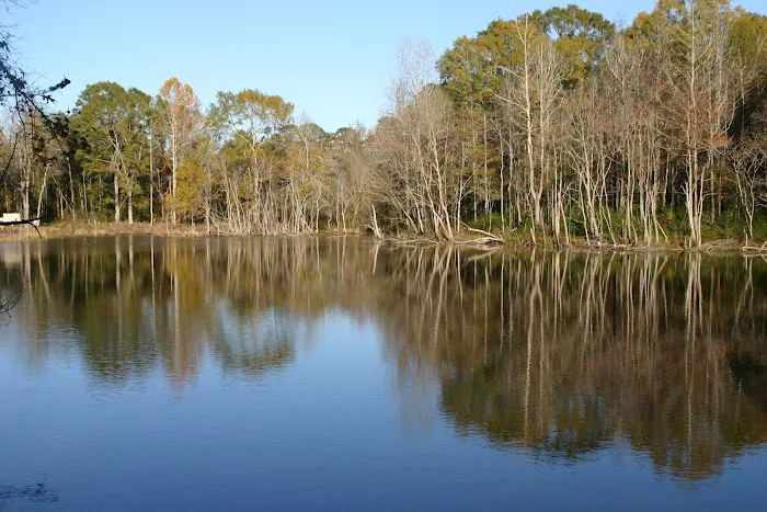 Calhoun Hills at 103 RV Park Picture 1