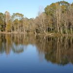 Calhoun Hills at 103 RV Park