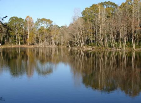 Calhoun Hills at 103 RV Park