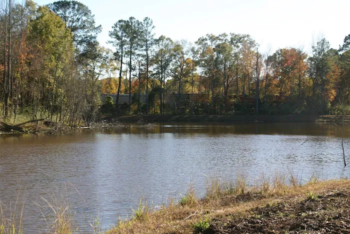 Calhoun Hills at 103 RV Park Picture 9