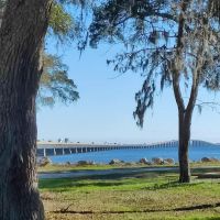 Mid Bay Shores Camp Grounds ico