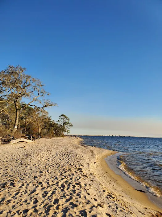 Maxwell-Gunter Mid-Bay Shores Recreation Area Picture 8