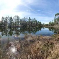 Eglin/FNST Jr Walton Pond ico