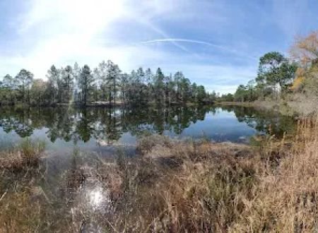 Eglin/FNST Jr Walton Pond