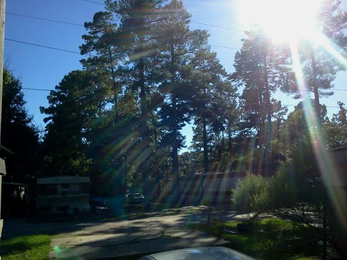 Pine Hill Mobile Home Park Picture 8