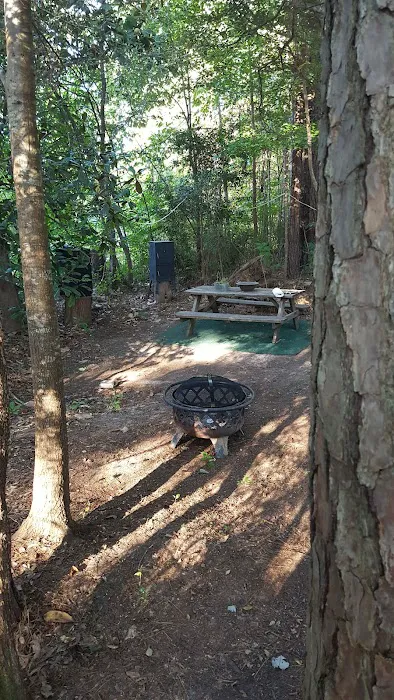 Magnolia Hill RV Park Picture 7