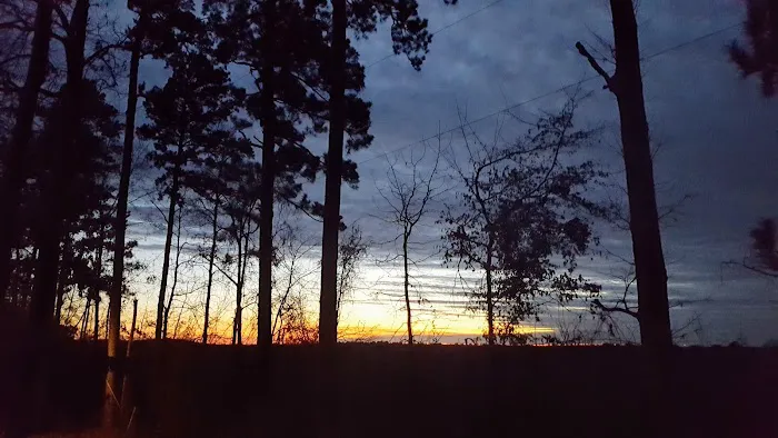 Magnolia Hill RV Park Picture 9