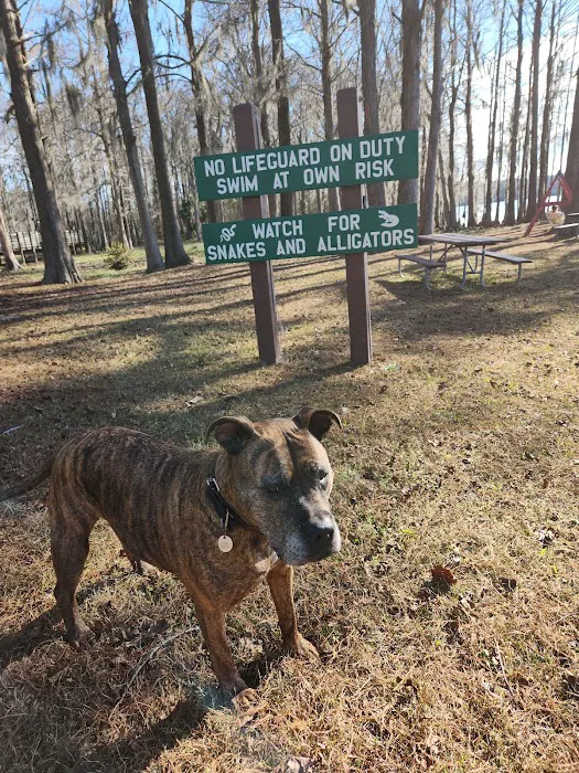Florala City Park Picture 10
