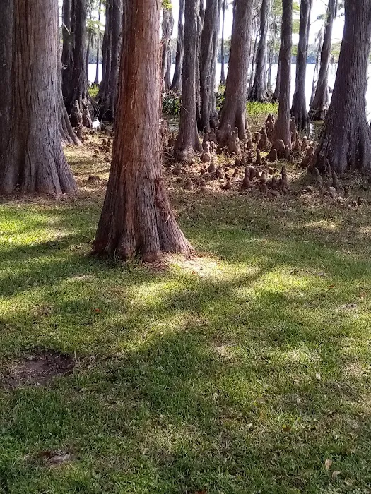 Florala City Park Picture 9