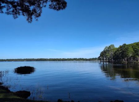 Lake Jackson RV Park