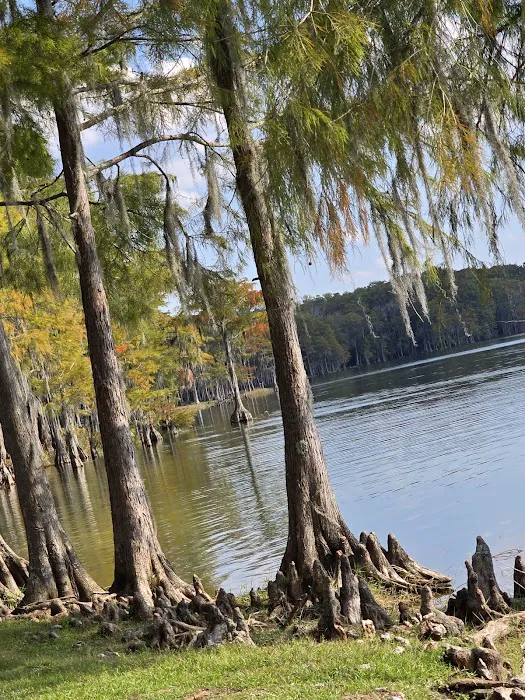 Lake Jackson RV Park Picture 9