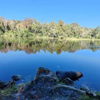Goose Pasture Campground ico