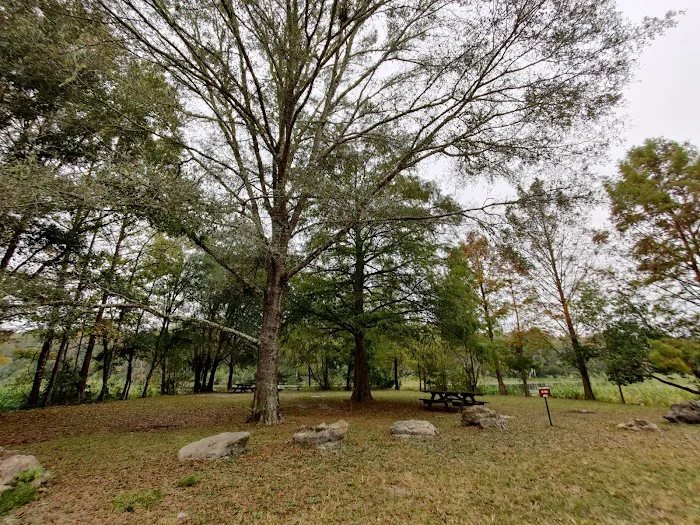 Goose Pasture Campground Picture 9