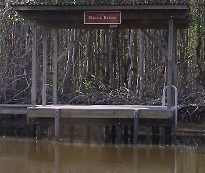 Shark River Chickee Picture 9