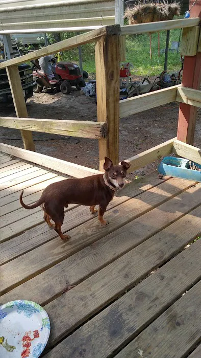 Mill Creek Bay RV Park Picture 3